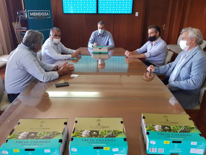 La Cámara Argentina de Productores de Cerezas Integrada se reunió con el Ministerio de Economía de la provincia