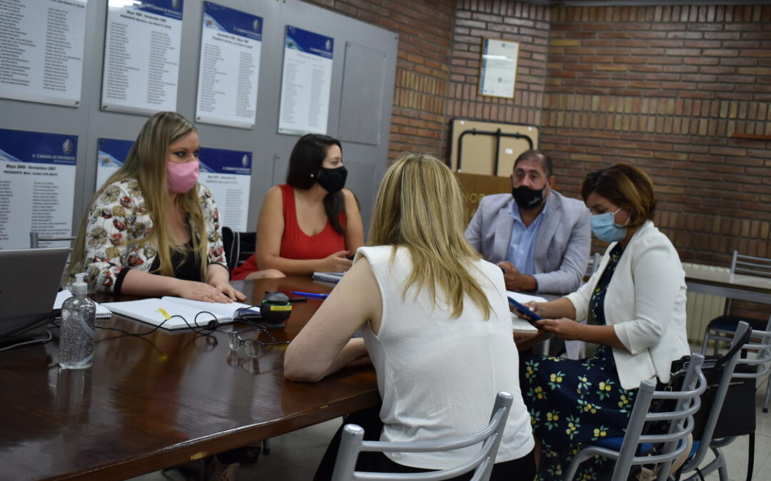 Fiesta Provincial de la Flor de la Vid: seguirá en tratamiento el proyecto para incorporarla al calendario vendimial