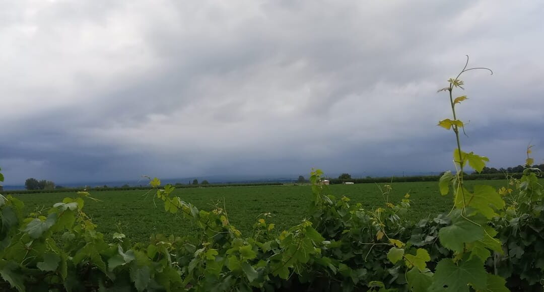 Viernes con nubosidad y continúan las precipitaciones en cordillera