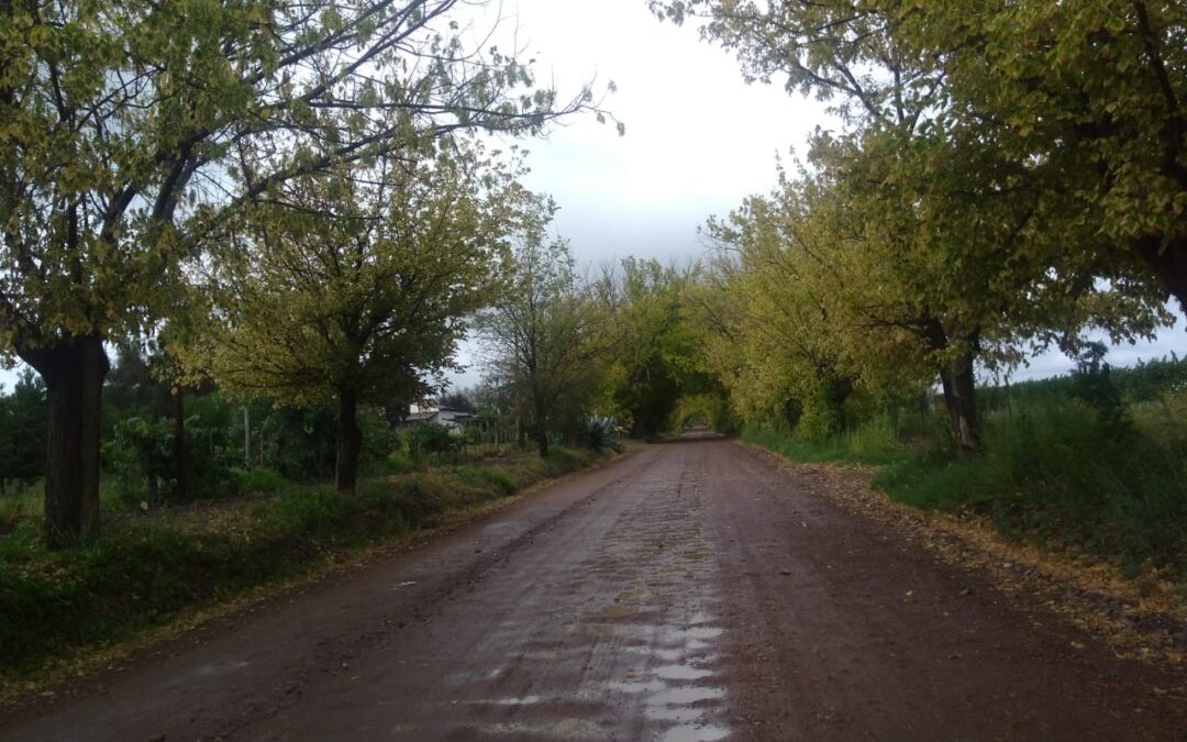 Jueves de mucha humedad y nubosidad variable