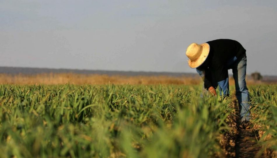 Hay tiempo hasta el 30 de abril para formar parte del programa IDR Incuba