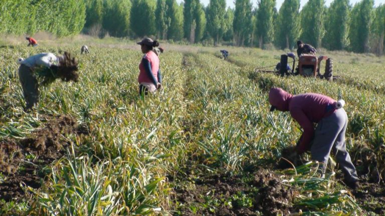 Para el 68% de los productores, los resultados de las elecciones legislativas tendrán un impacto positivo en el sector agropecuario en 2022