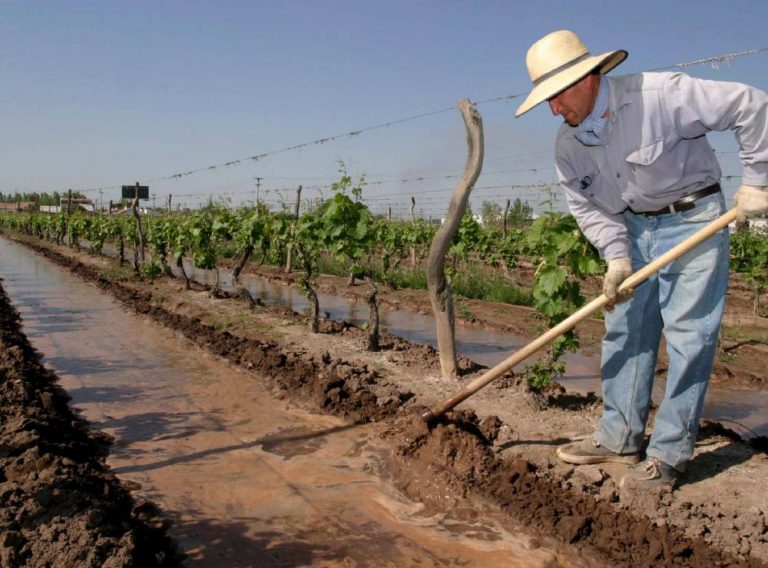 Piden a los productores cargar su CBU en la web de Contingencias Climáticas para cobrar el Seguro Agrícola y Fondo Compensador