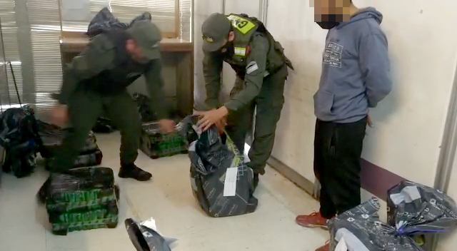 Decomisan 118 kilos de hojas de coca en Las Heras