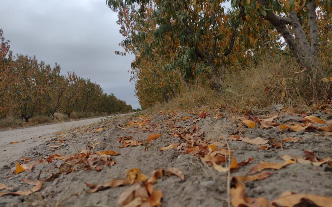 ¿Cómo estará el clima durante el fin de semana?