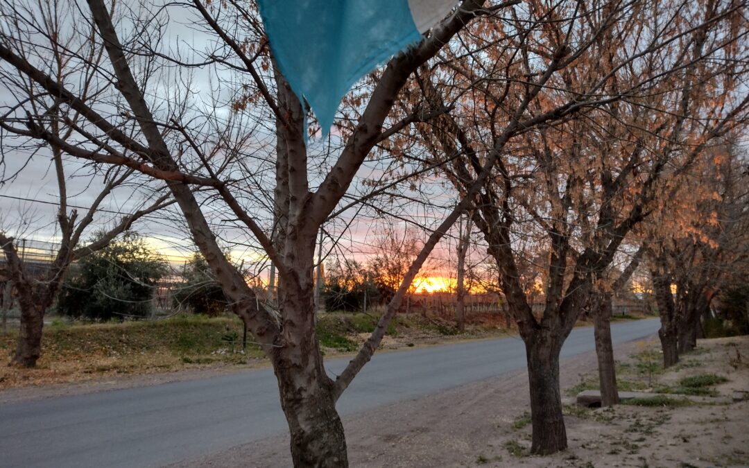 Lunes: habrá tiempo bueno y ascenso de la temperatura en la provincia de Mendoza