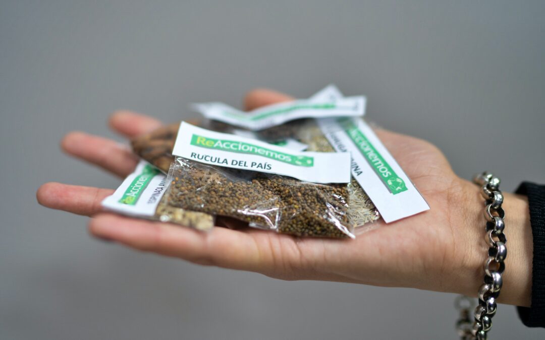 Tupungato: continúan con la entrega de Kit de semillas para crear tu propia huerta