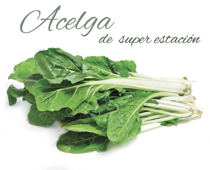 Acelgas, aliadas de la salud y de la economía cuando hace frío