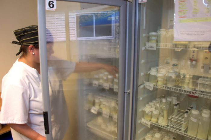 El Banco de Leche del Hospital Lagomaggiore cumplió 10 años