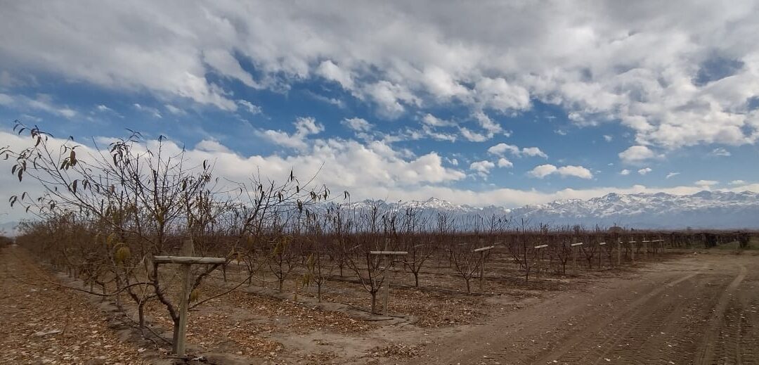 Clima en Mendoza: miércoles con poco cambio de la temperatura