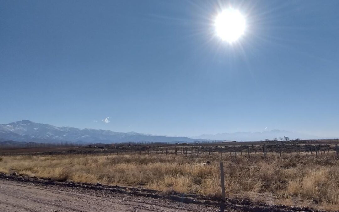 Viernes con ascenso de la temperatura en la provincia de Mendoza