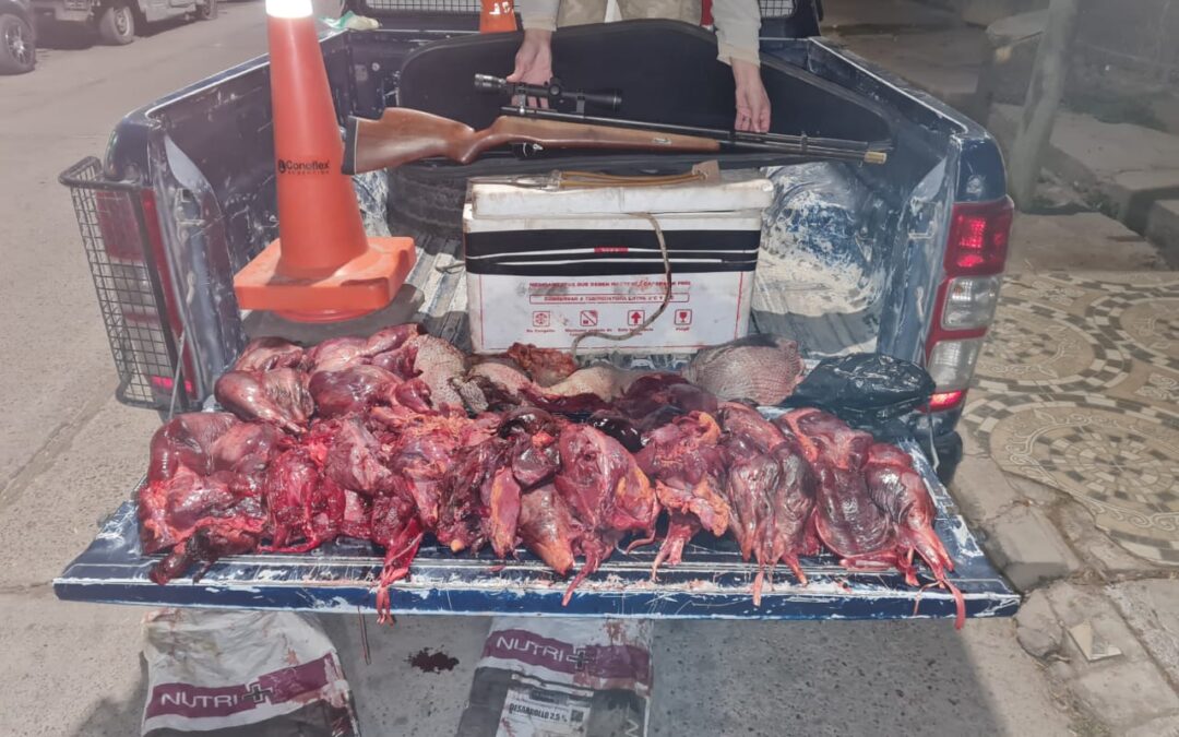Mendoza: decomisaron 9 ñandúes en un operativo conjunto contra la caza ilegal