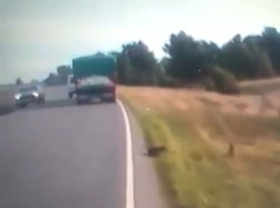 Casi provoca un accidente por cruzar un camión en plena curva y le suspendieron la licencia de conducir