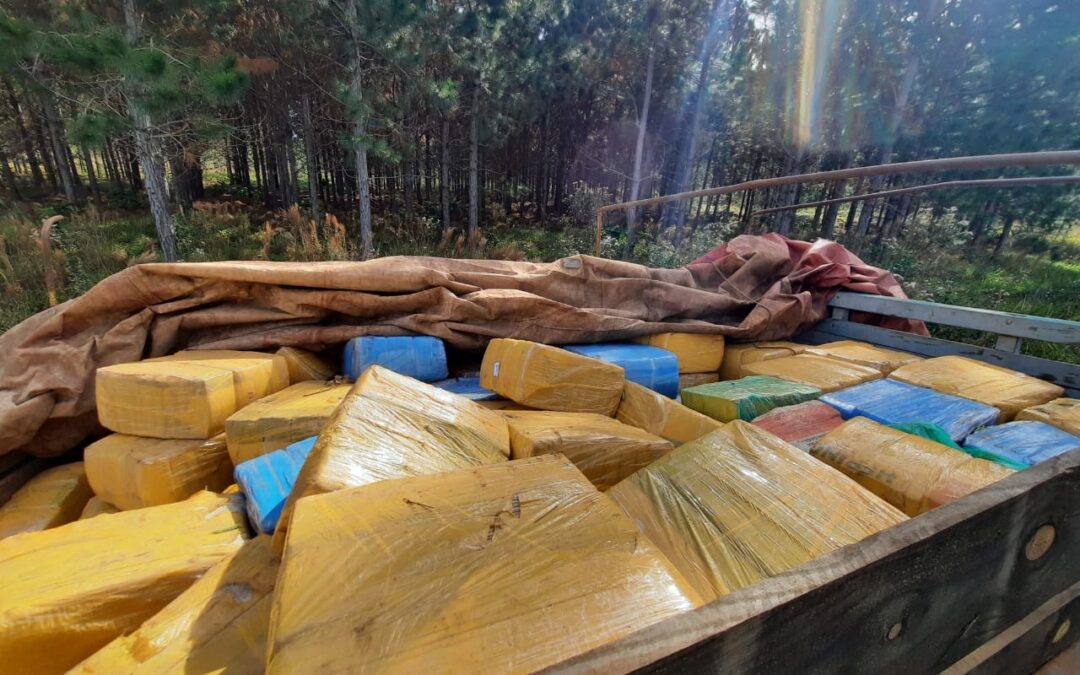 Secuestraron un cargamento de más de 5.300 kilos de marihuana