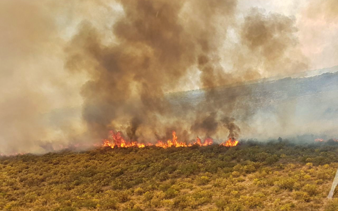 Efemérides: 4 de mayo, Día Internacional del Bombero Forestal