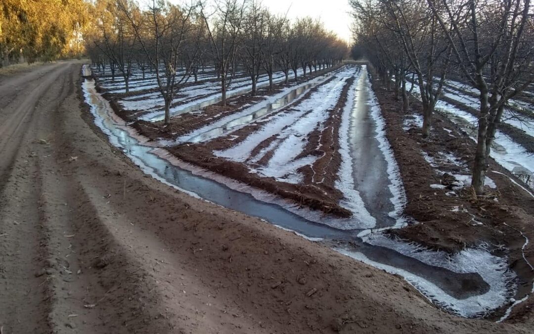 Contingencias Climáticas llama a productores a actualizar el RUT antes del 31 demayo