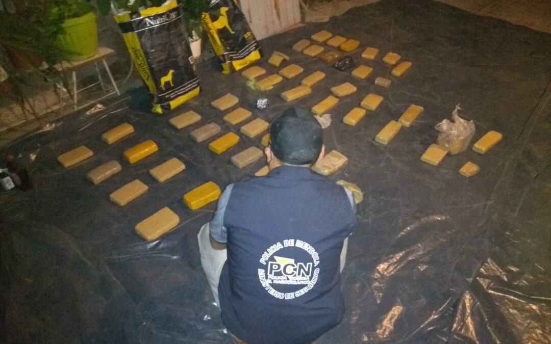Secuestraron 39 kilogramos de marihuana de origen paraguayo y 28 plantas de cultivo Indoor de cannabis sativa