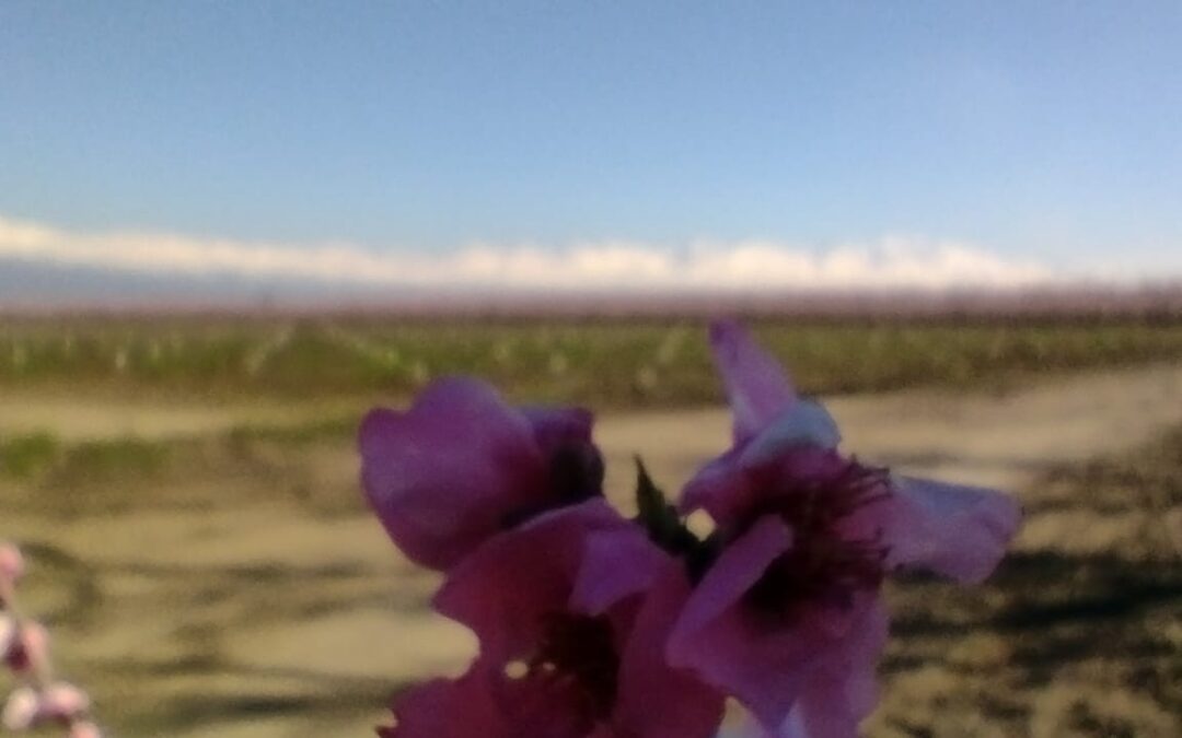 Este viernes y sábado la temperatura máxima superará los 20 grados