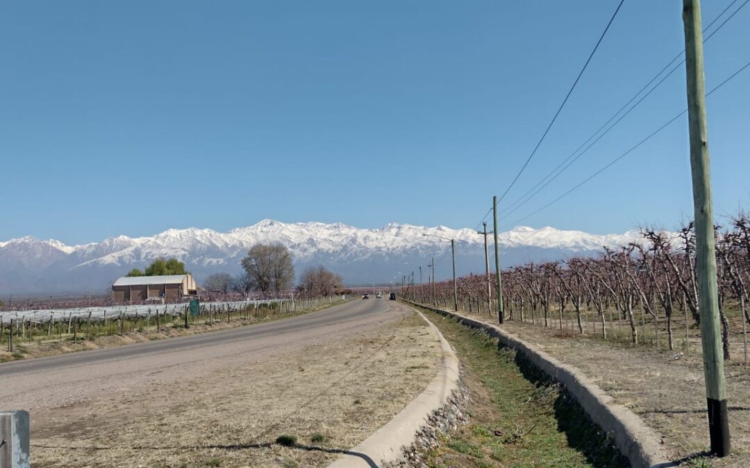 La temperatura máxima superará los 20 grados en la provincia de Mendoza
