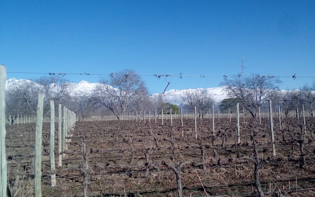 Martes con ascenso de la temperatura y vientos leves