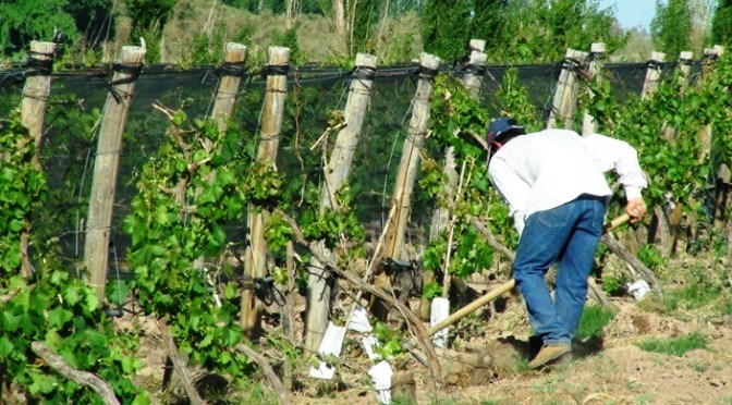 El Gobierno presentó el Plan “Argentina Productiva 2030”