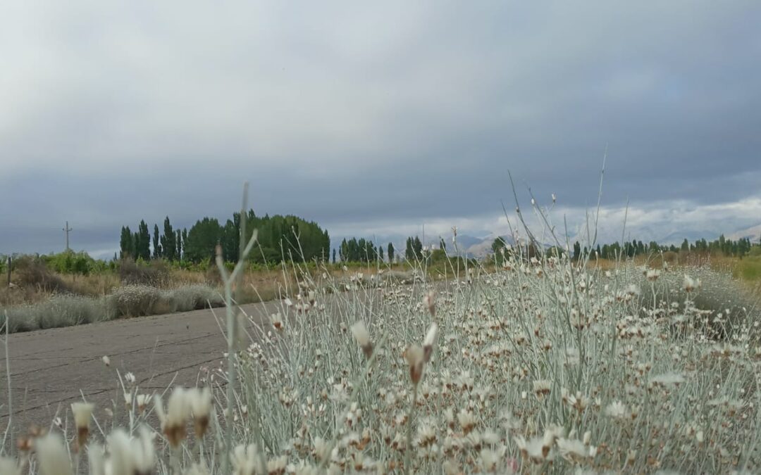 Jueves con descenso de la temperatura y tormentas aisladas