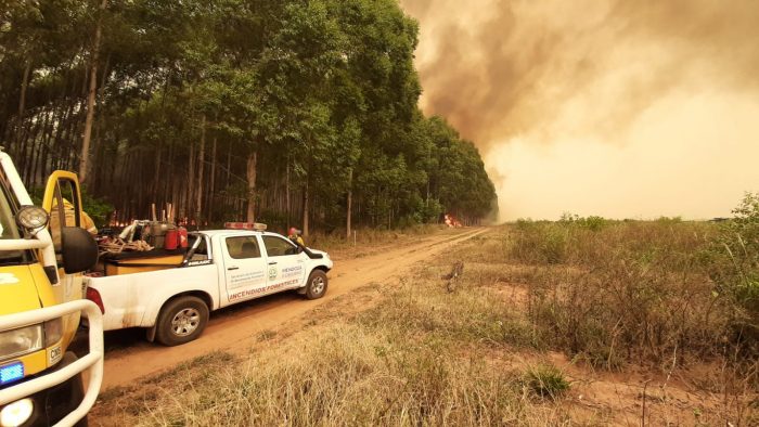 Regresan a Mendoza los 15 brigadistas que participaron en el combate de los incendios forestales en Corrientes