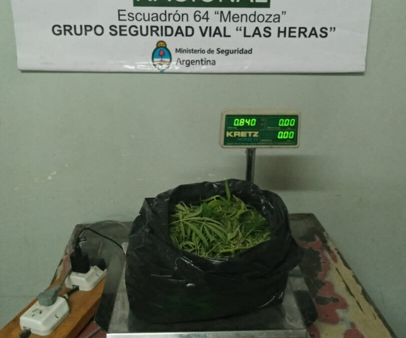 Incautan marihuana en el ala Oeste de la terminal de ómnibus de Mendoza