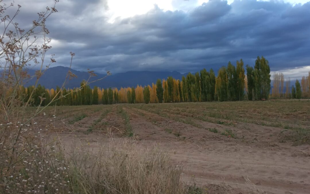 Jueves algo nublado y con descenso de la temperatura