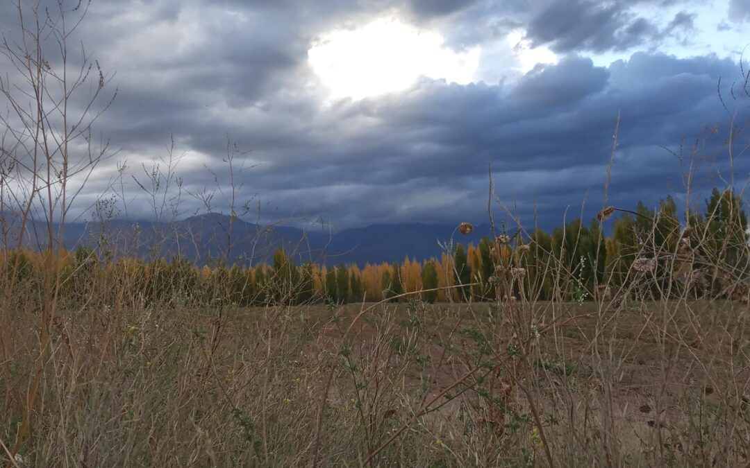 Mendoza: viernes con descenso de la temperatura e inestable en cordillera