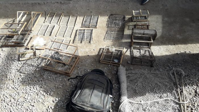 Mendoza: más de 50 aves fueron rescatadas del tráfico ilegal durante mayo
