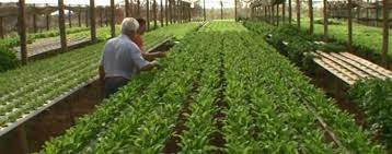 El IDR entregó más de medio millón de pesos en microcréditos a emprendedores rurales