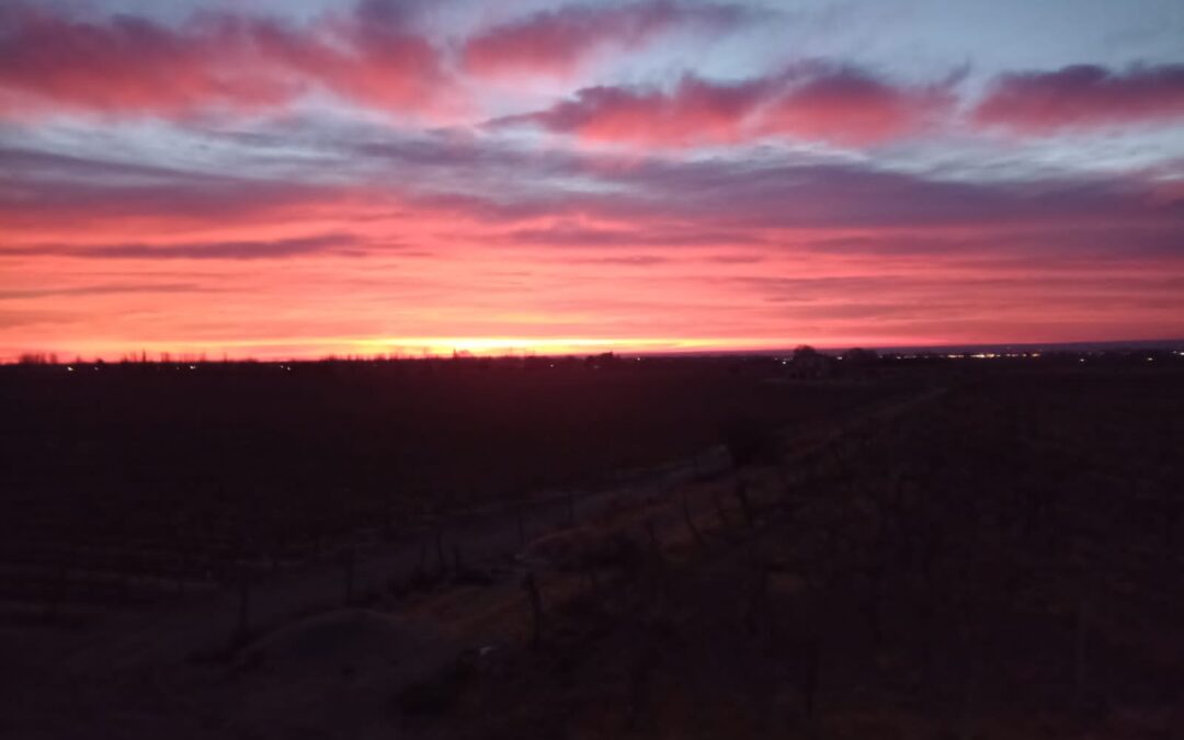 Asciende la temperatura en la provincia de Mendoza