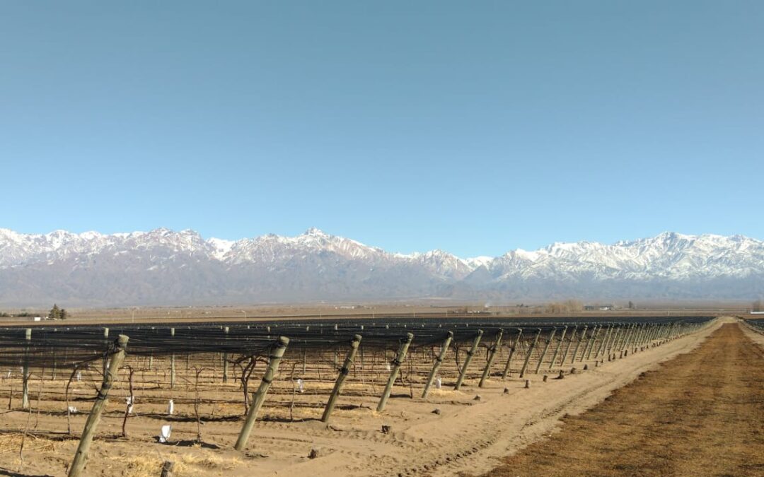Lunes con poco cambio de la temperatura en Mendoza