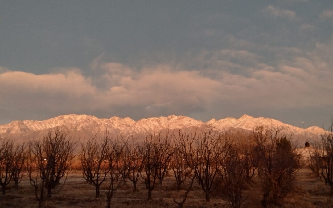 Clima en Mendoza: martes con poco cambio de la temperatura