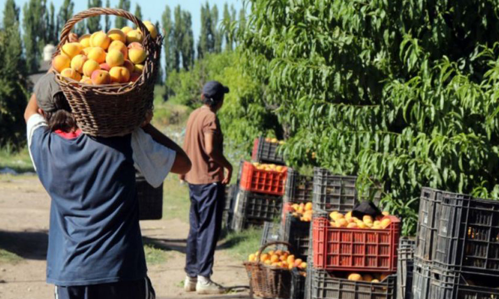 Impulsan ley para reforzar el financiamiento productivo en Mendoza