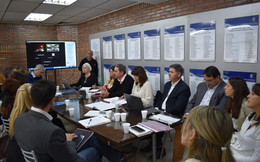 Despacho favorable para la creación del Instituto Universitario de Actividad Física y Deportes