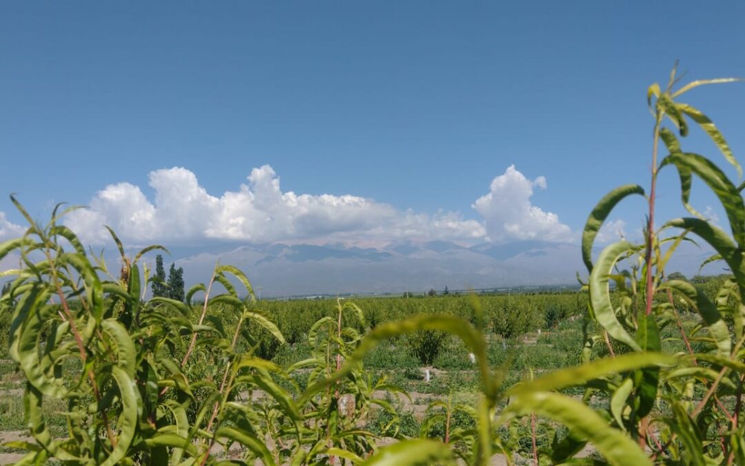 Martes con nubosidad variable en la provincia de Mendoza