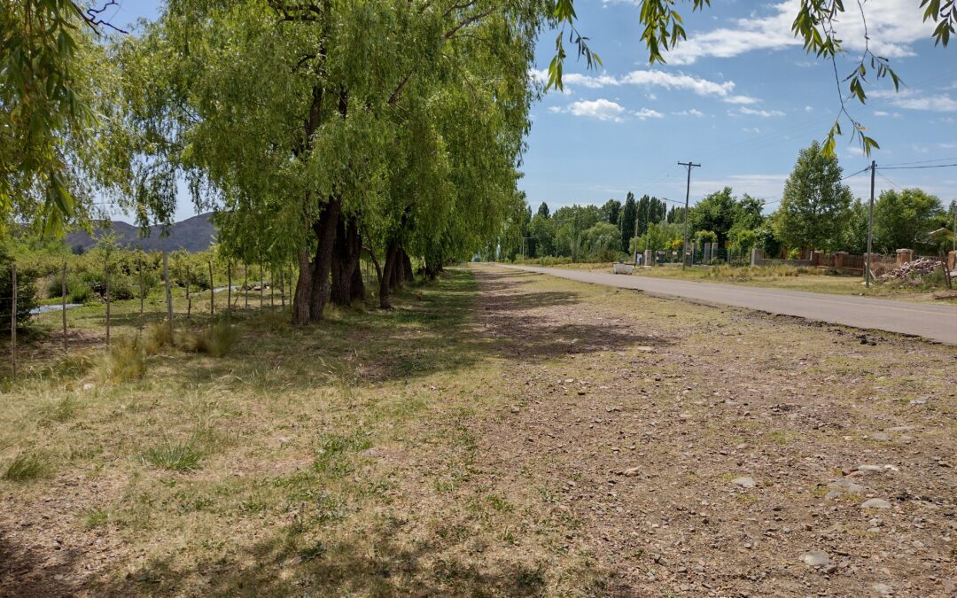 Miércoles muy caluroso en la provincia de Mendoza