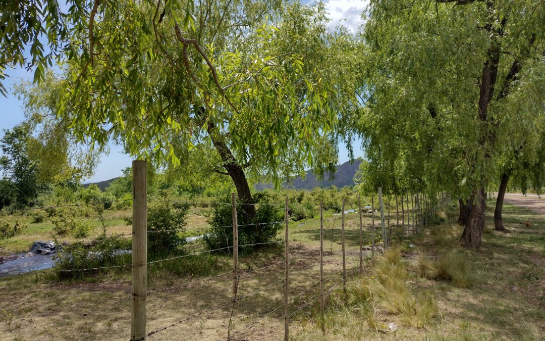Viernes caluroso y nubosidad variable en Mendoza