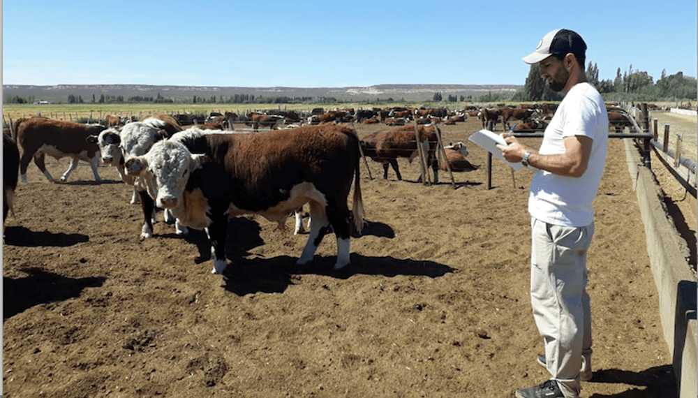 Sequía: Mendoza declaró el desastre agropecuario y transfiere más de $210 millones al sector