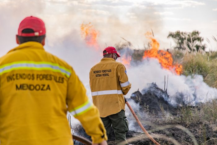 Combaten incendios forestales en más de 15.000 hectáreas del Sur provincial