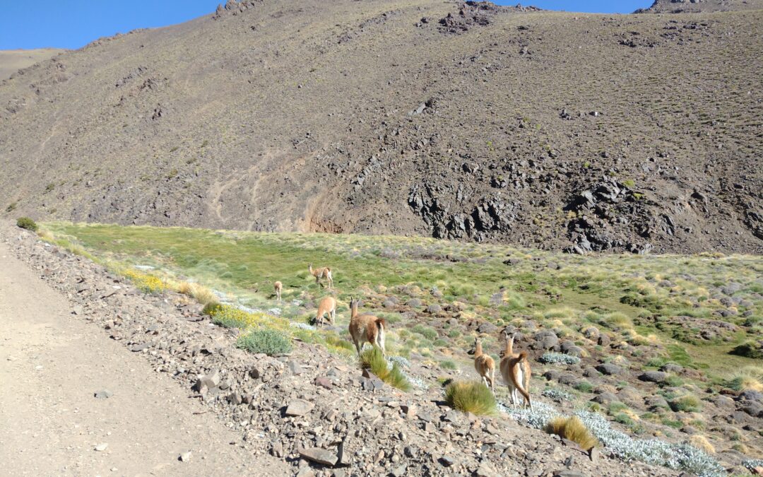 Martes muy caluroso en la provincia de Mendoza