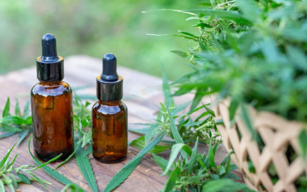 Mendoza solicitó a Nación la urgente reglamentación de la Ley de cannabis medicinal y cáñamo industrial