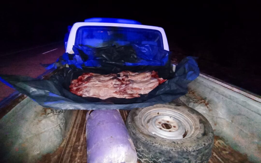 Un detenido por trasladar productos avícolas en malas condiciones
