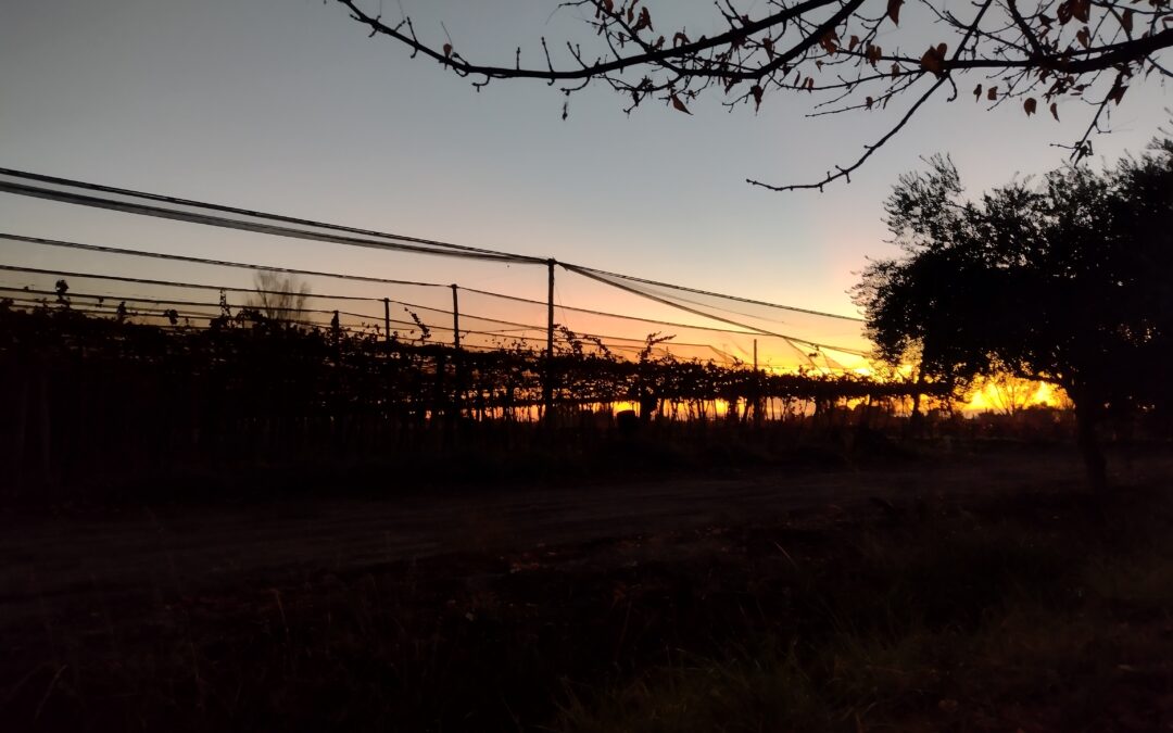 Martes con cielo algo nublado y leve ascenso de temperatura