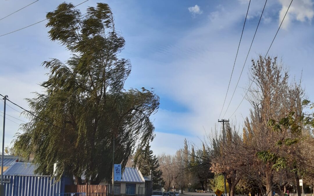 Jueves con probabilidad de viento zonda en el llano