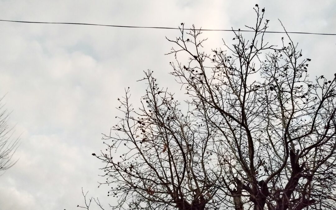 Miércoles nublado y frío en Mendoza