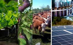 Impulsan ciclo de capacitaciones sobre eficiencia energética en los oasis productivos de la provincia