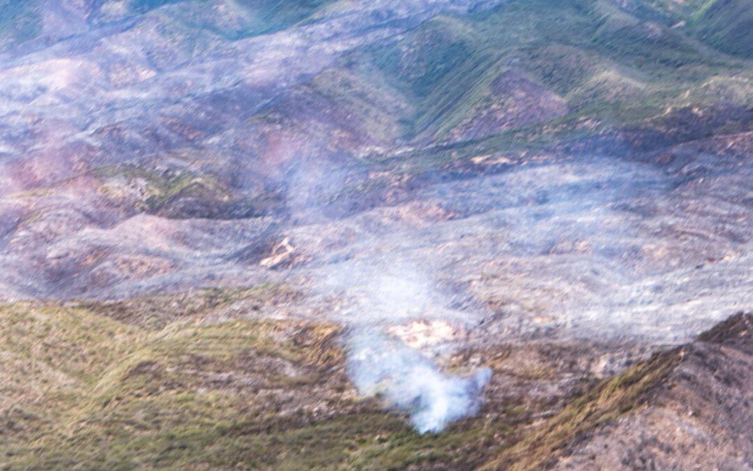 Suarez decretó la Emergencia Ambiental y Habitacional en toda provincia